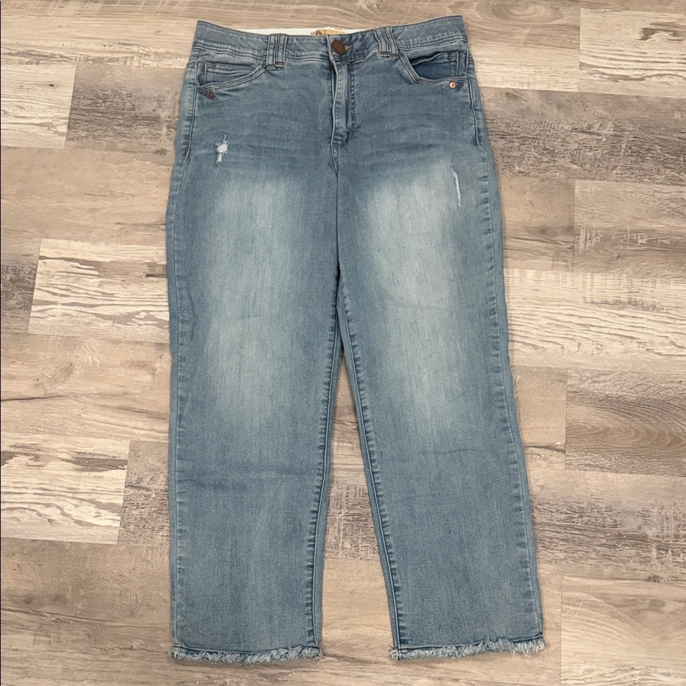 Democracy Classic Blue Distressed “Ab Technology” Women's Jeans